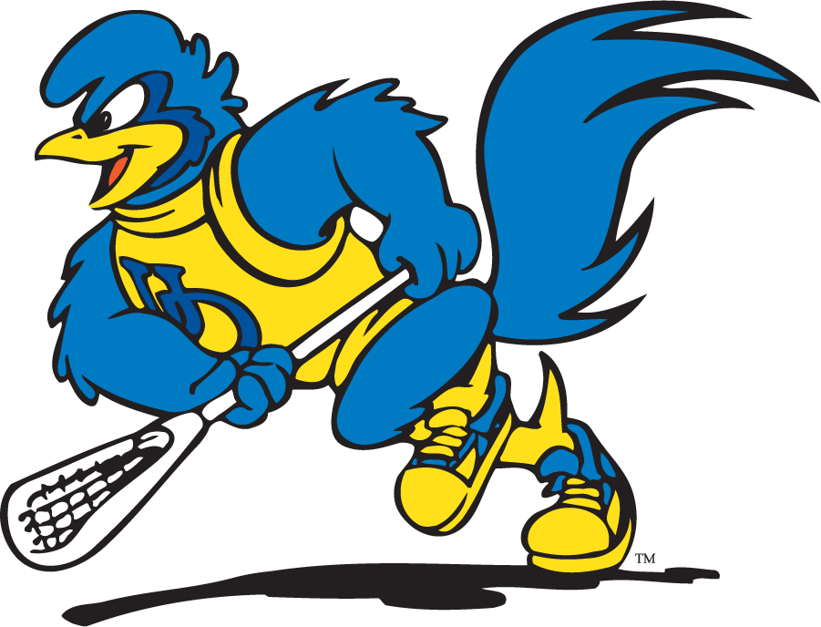 Delaware Blue Hens 1999-2009 Mascot Logo v2 t shirts iron on transfers